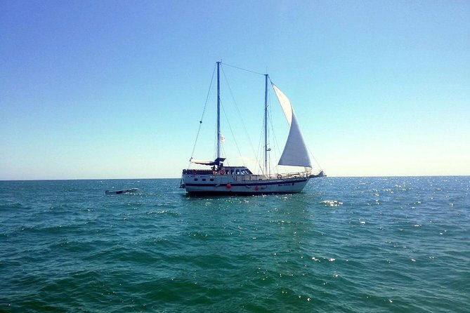 superb-black-sea-yacht-picnic-with-food-drinks-2