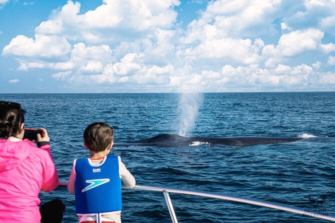 supreme-2hr-whale-dolphin-watching-newport-beach-6-person-max