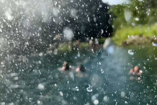 swim-at-oahu-waterfall-in-waimea-with-coffee-lunch-and-dole