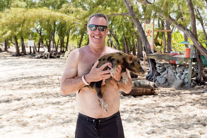 swim-with-famous-pigs-at-rose-island