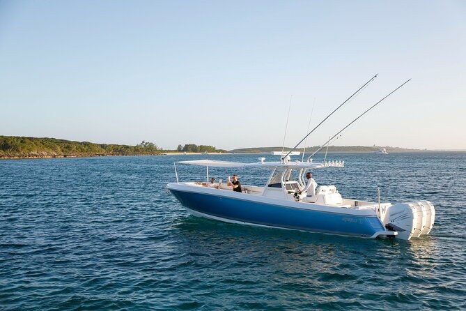 swim-with-the-turtles-harbour-island-luxury-private-boat-tour