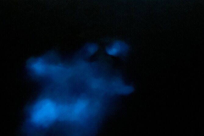 swimming-bioluminiscent-bay-tour-in-la-parguera