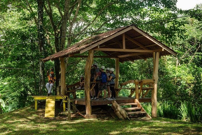take-your-adrenaline-to-the-fullest-with-our-zipline-tour