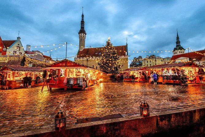 tallinn-shore-excursion-tallinn-sightseeing-tour-by-coach-and-foot-2