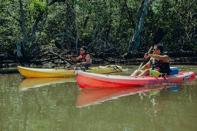 tamarindo-kayak-estuary-mangrove-tour