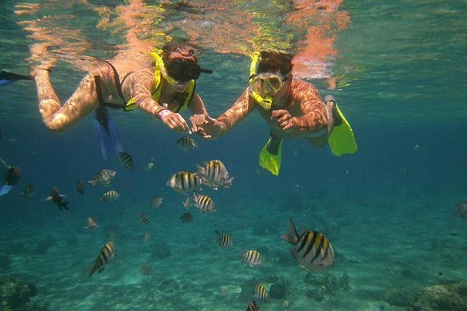 tamarindo-kayaking-tour-with-snorkeling-at-captain-island
