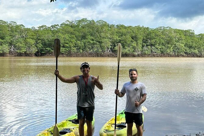 tamarindo-mangrove-forest-national-park-kayaking