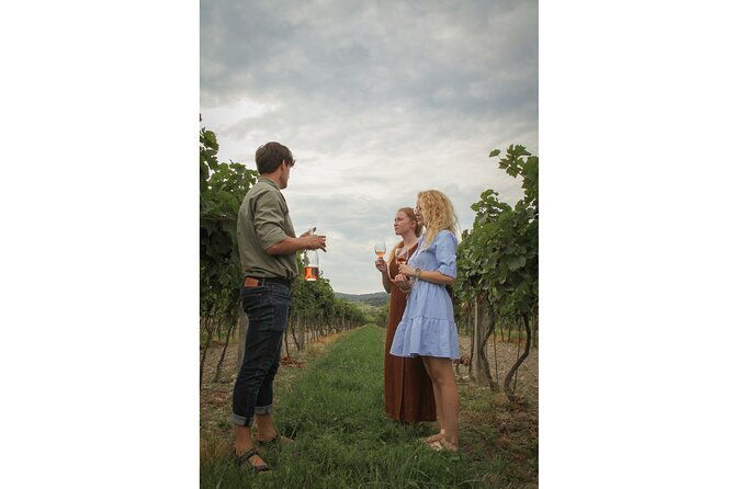 taste-local-wines-and-discover-pezinok