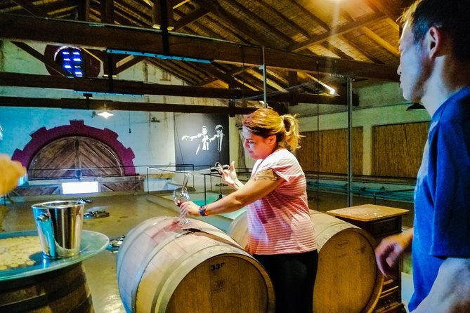 tastings-and-lunch-in-maipu-one-of-the-oldest-regions-of-mendoza