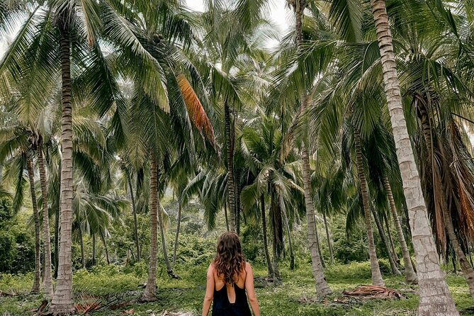 tayrona-park-private-hike-tour-to-cabo-san-juan