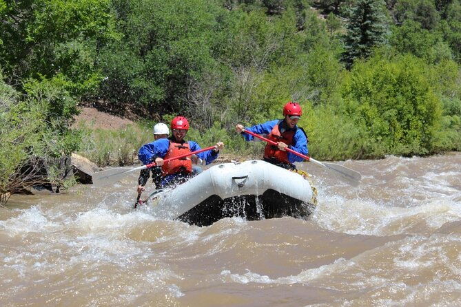 telluride-afternoon-half-day-rafting-tour-on-the-san-miguel-river