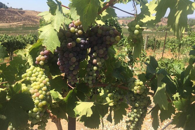 temecula-wine-tasting-private-tour
