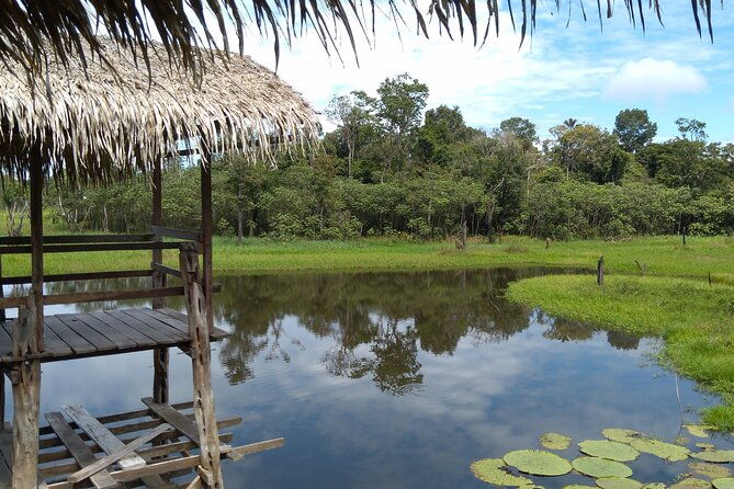 the-amazon-beauties-with-the-best-river-attractions-group-tour