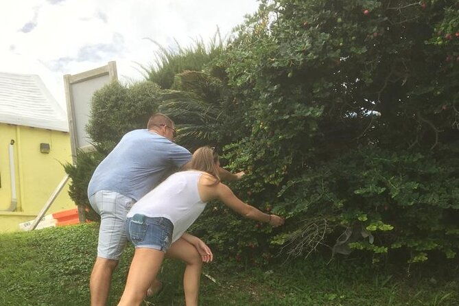 the-bermuda-tea-and-tales-experience