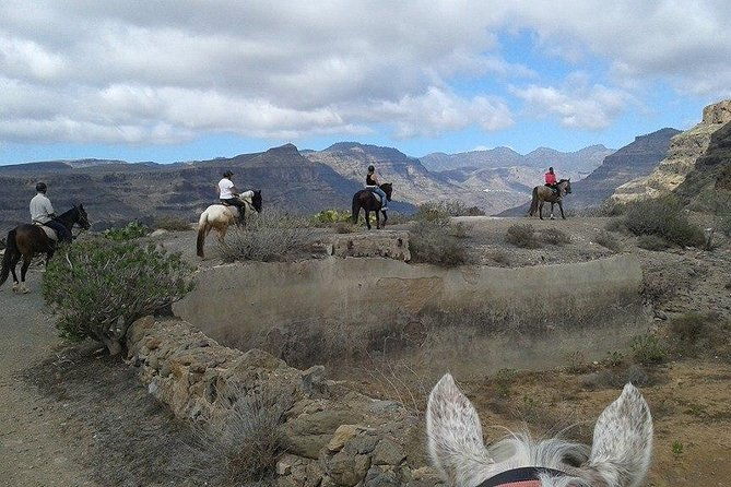 the-best-horse-riding-experience-in-gran-canaria-1-hour