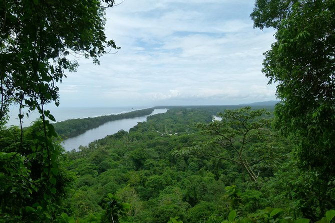 the-best-of-tortuguero-canoe-hike-and-night-tour-turtle-in-jul-oct