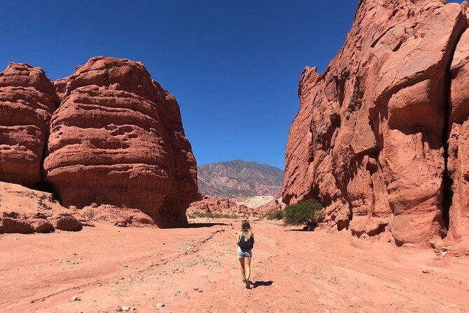 the-calchaqui-valley-winery-and-scenery-tour-in-cafayate