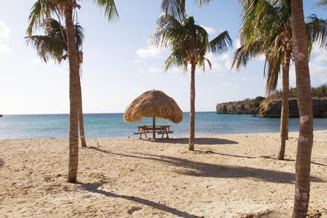 the-curacao-full-day-private-tour-experience