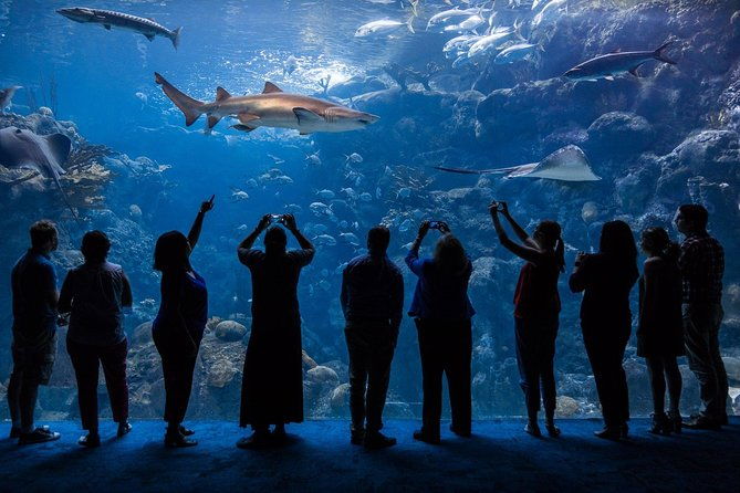 the-florida-aquarium-in-tampa-general-admission