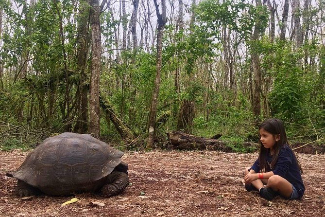the-galapagos-giant-tortoise-experience-los-gemelos-shared