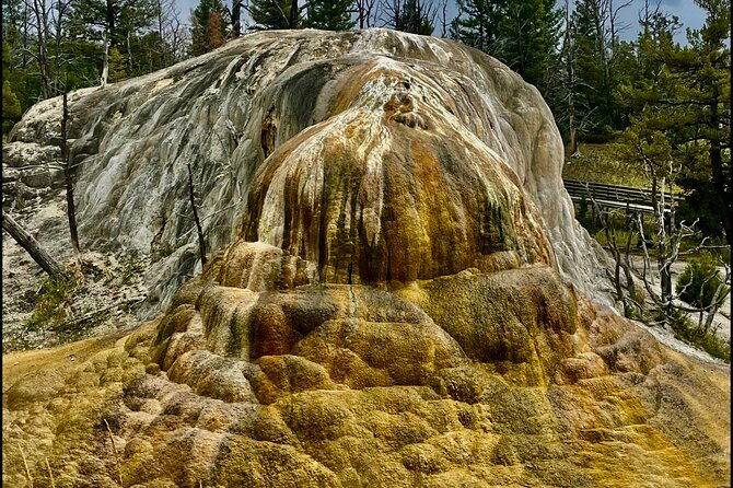the-grand-yellowstone-3-day-private-experience-from-cody-wyoming