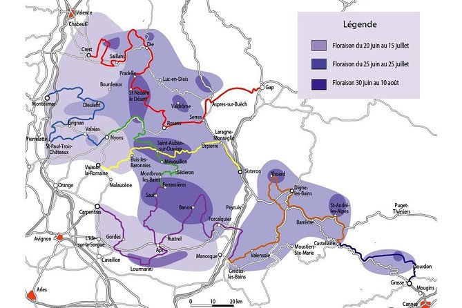 the-lavender-tour-from-marseille-or-aix-en-provence