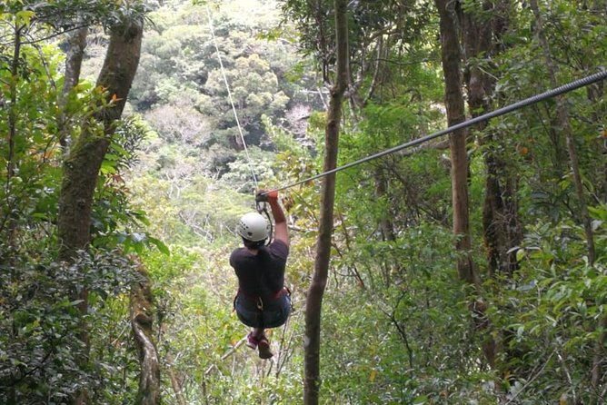 the-original-canopy-tour-monteverde-zipline