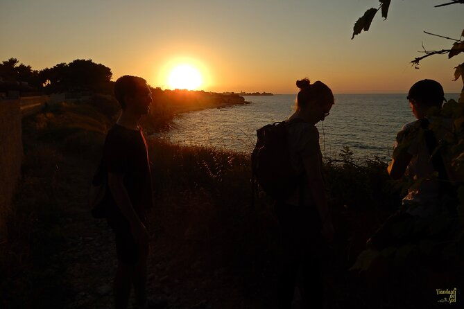 the-path-of-the-cliffs-torre-olivieri-and-the-gruccione-bay