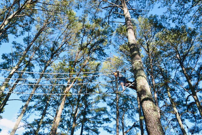 the-raptor-high-rope-course-and-zipline-tickets-wheeler-lake-koa