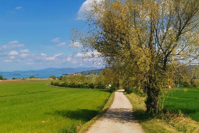 the-spell-of-lake-trasimeno-trekking-tour