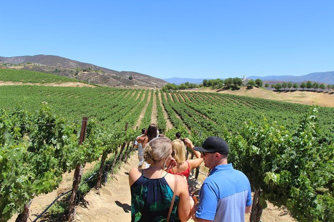 the-temecula-wine-tour-from-anaheim