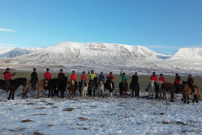 the-viking-horse-riding-experience-in-north-iceland