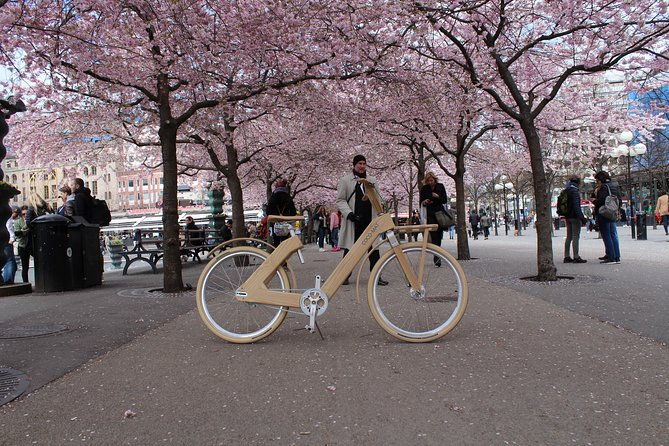 the-wooden-bicycle-tour-in-stockholm