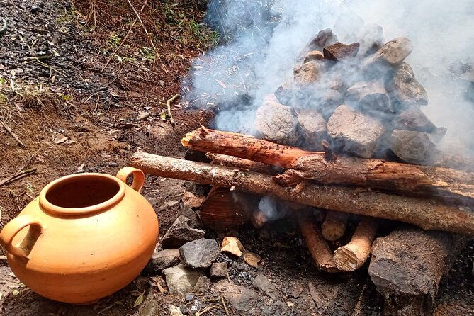 therapeutic-temazcal-harmony-and-rebirth-in-the-forest