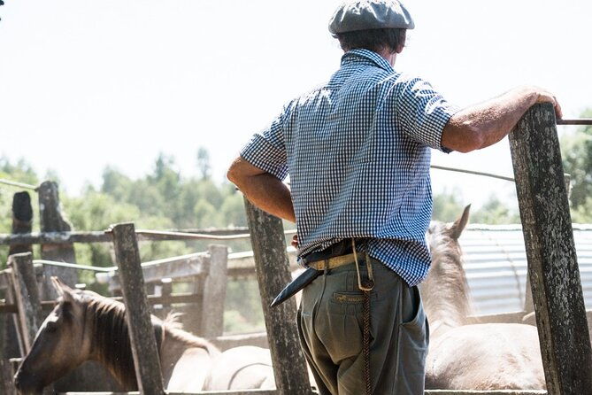 three-days-tour-in-a-traditional-ranch-estancia-la-pilona