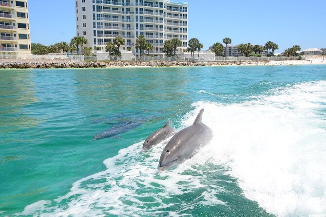 thriller-speedboat-dolphin-tours-in-destin-florida-2