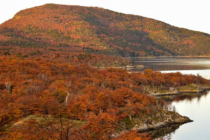 tierra-del-fuego-national-park-pm-with-dinner-included