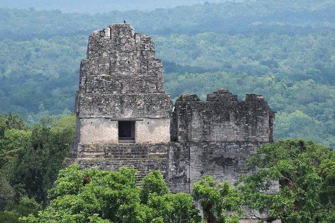 tikal-mayan-adventure-1-day-tour