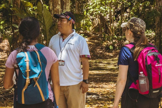 tikal-small-group-all-included-from-flores