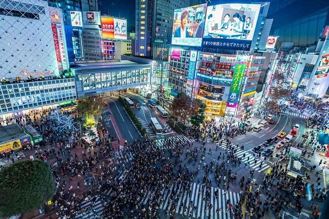 tokyo-private-customizable-day-tour-with-english-speaking-driver
