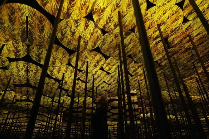 tokyo-teamlab-borderless-museum-admission-ticket