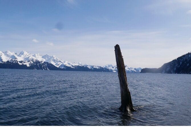 tonsina-beach-hike-with-seward-guided-hikes