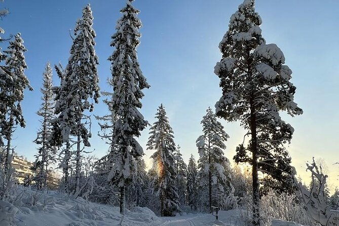 top-of-oslo-snowshoe-tour
