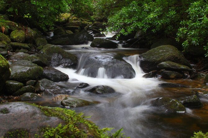 torc-mountain-waterfall-hike-killarney-private-guided-group-3%c2%bd-hours