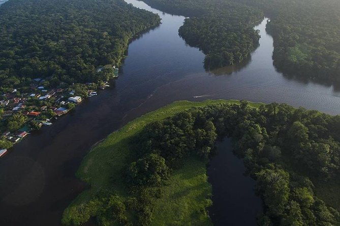 tortuguero-most-popular-canoe-and-night-tour-jul-oct-turtle