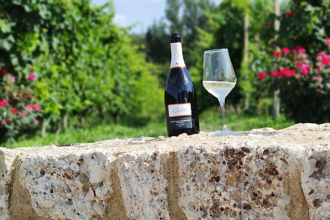 tour-and-tasting-in-the-hills-of-prosecco-superiore-docg