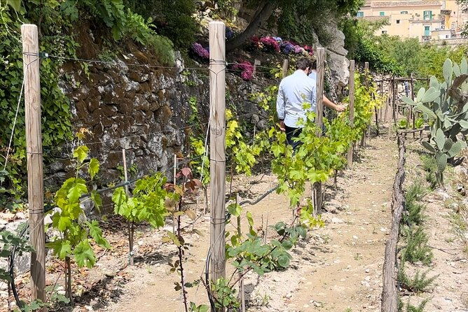 tour-in-the-heady-scents-of-our-garden-in-ragusa