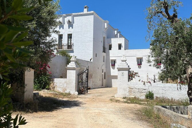 tour-of-the-oil-mill-with-tasting