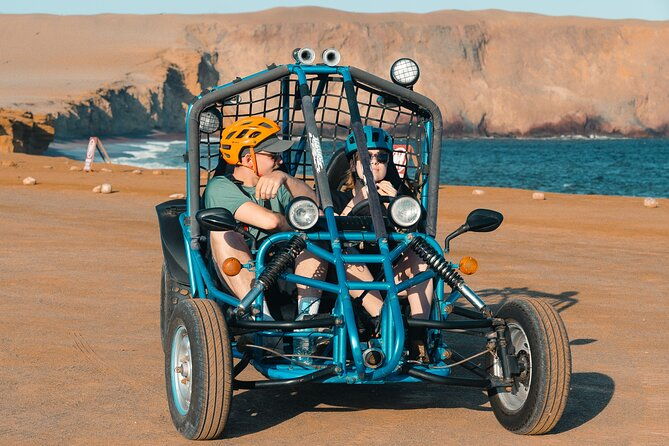 tour-the-paracas-national-reserve-in-a-minibuggy