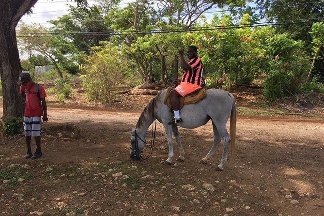 tour-to-blue-hole-horseback-riding-atv-adventures